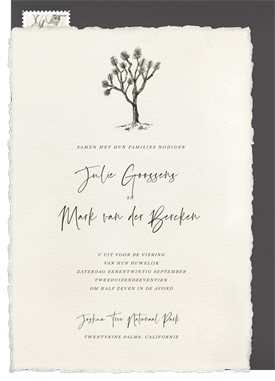 'Joshua Tree' Wedding Invitation