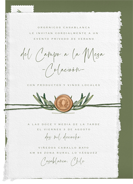 'Mediterranean Elegance' Business Invitation