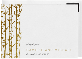 'Elegant Birch Trees' Wedding Thank You Note