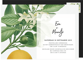 'Botanical Illustrations' Wedding Invitation