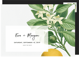 'Botanical Illustrations' Wedding Save the Date