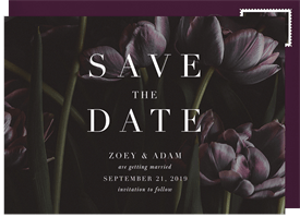 'Moody Tulips' Wedding Save the Date