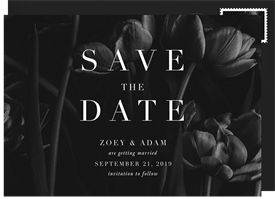 'Moody Tulips' Wedding Save the Date
