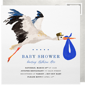 'Special Delivery Stork' Baby Shower Invitation