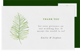 'Delicate Palm Frond' Wedding Thank You Note