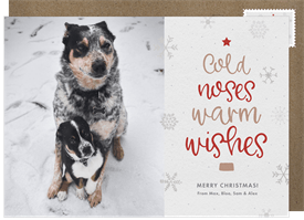 'Cold Noses Warm Wishes' Holiday Greetings Card