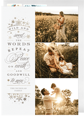 'Wild and Sweet' Holiday Greetings Card