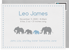 'Growing Family' Birth Announcement