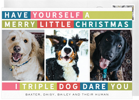 'Triple Dog Dare' Christmas Greetings Card