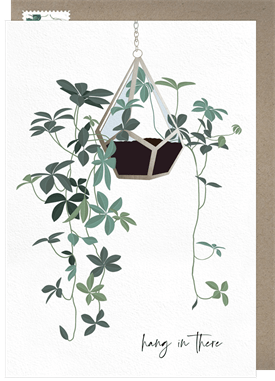 'Hanging Plant' Thinking of You Card