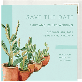'Cacti' Wedding Save the Date