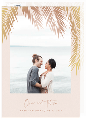 'Under the Palms' Wedding Save the Date