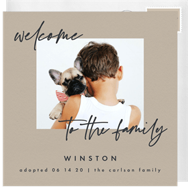 'Welcome to the Family' Pet-Related Announcement