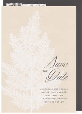 'Feathery Astilbe' Wedding Save the Date