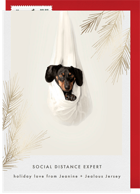 'Social Expert' Holiday Greetings Card