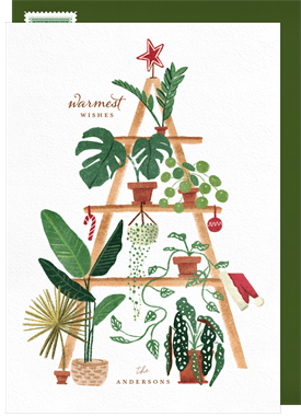 'Houseplants' Christmas Greetings Card