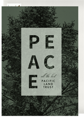 'Peace Tree' Business Holiday Greetings Card