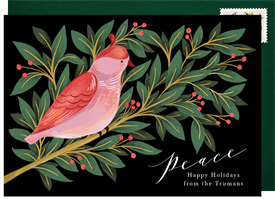 'Peaceful Bird' Holiday Greetings Card