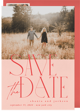 'Wildly In Love' Wedding Save the Date