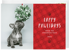 'Paws & Plaid' Holiday Greetings Card