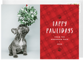 'Paws & Plaid' Christmas Greetings Card