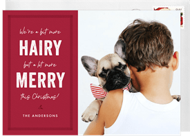 'Hairy & Merry' Holiday Greetings Card