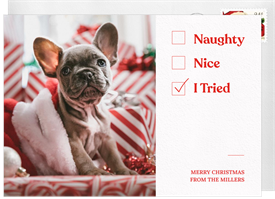 'I Tried' Holiday Greetings Card