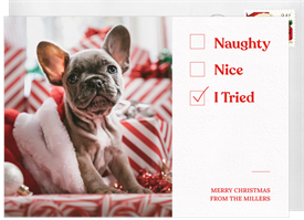 'I Tried' Christmas Greetings Card