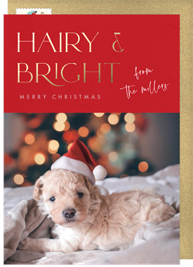 'Hairy & Bright' Holiday Greetings Card