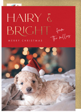 'Hairy & Bright' Christmas Greetings Card