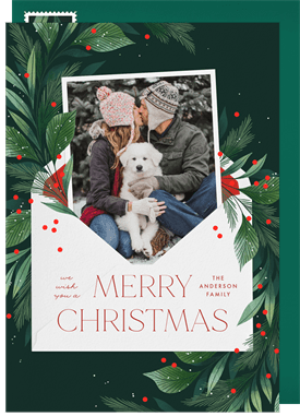 'Festive Holiday Letter' Holiday Greetings Card