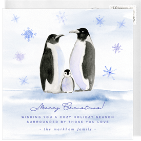 'Cozy Penguins' Christmas Greetings Card