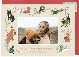 'Festive Dogs' Holiday Greetings Card