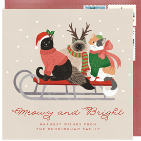 'Meowy and Bright' Holiday Greetings Card