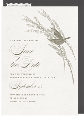 'Romantic Birds' Wedding Save the Date