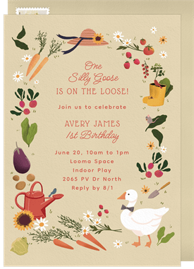 'Silly Goose' Kids Birthday Invitation