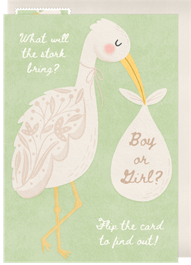 'Stork Surprise' Gender Reveal Announcement