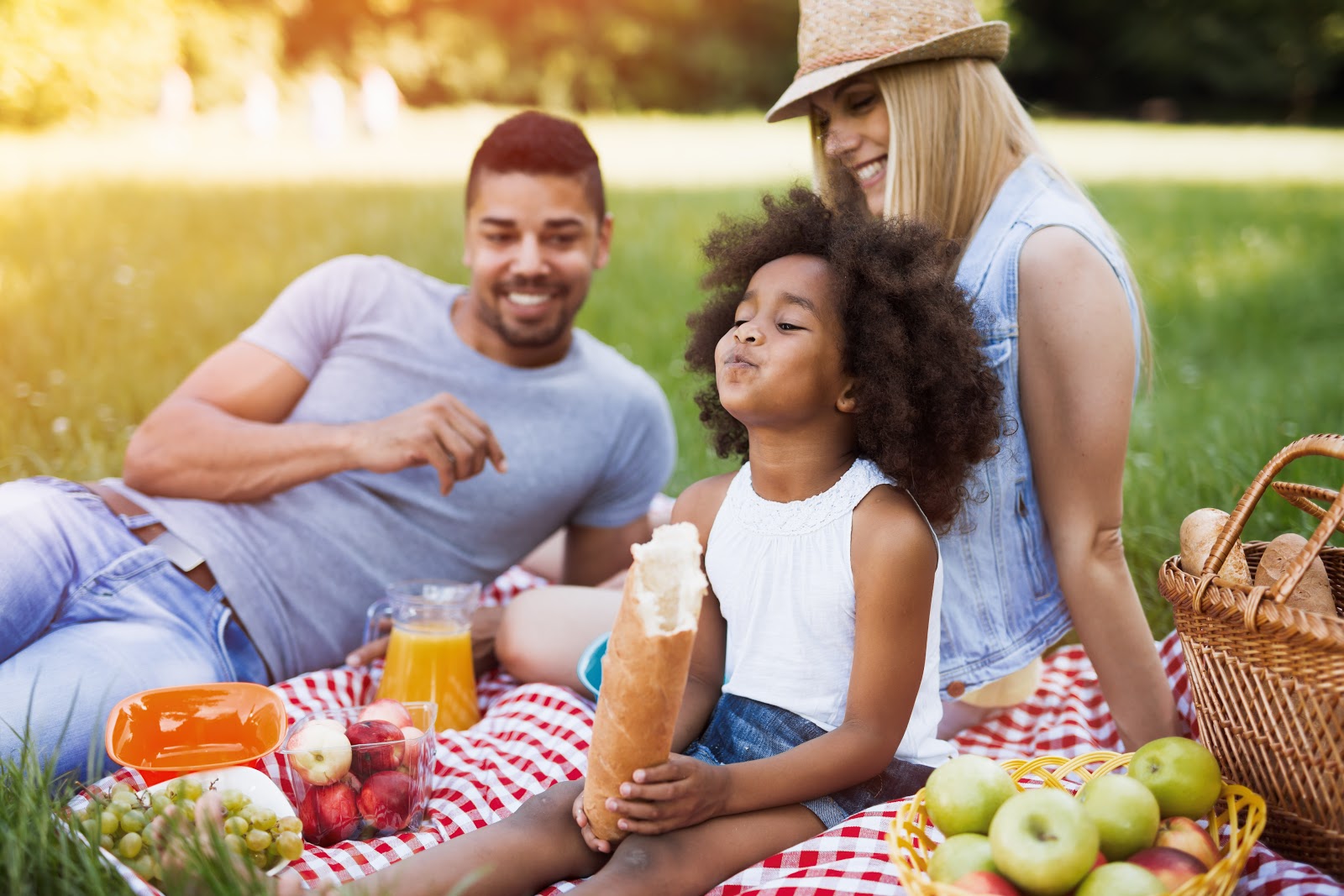 Family enjoying a picnic