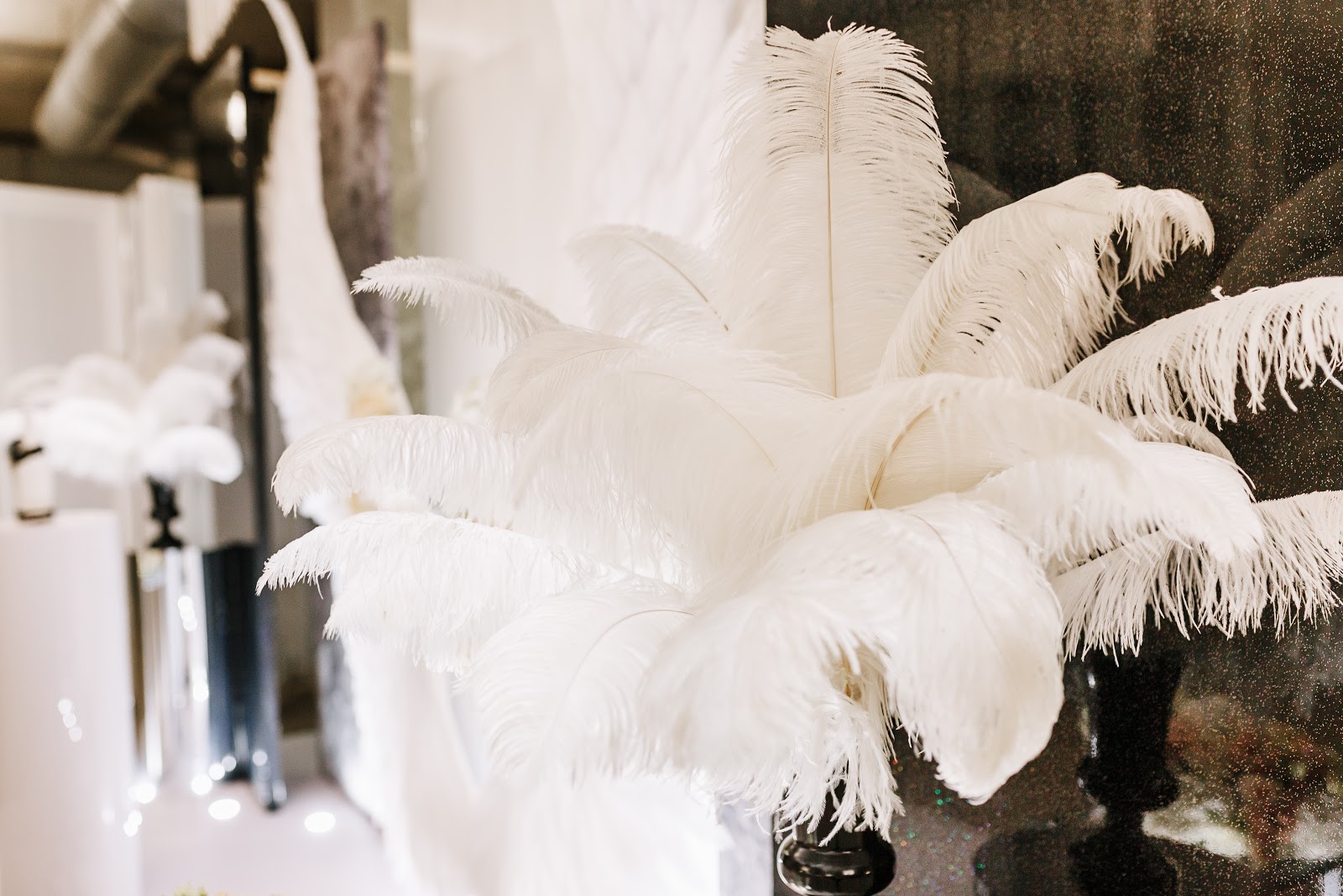 Great Gatsby party: White ostrich feathers 