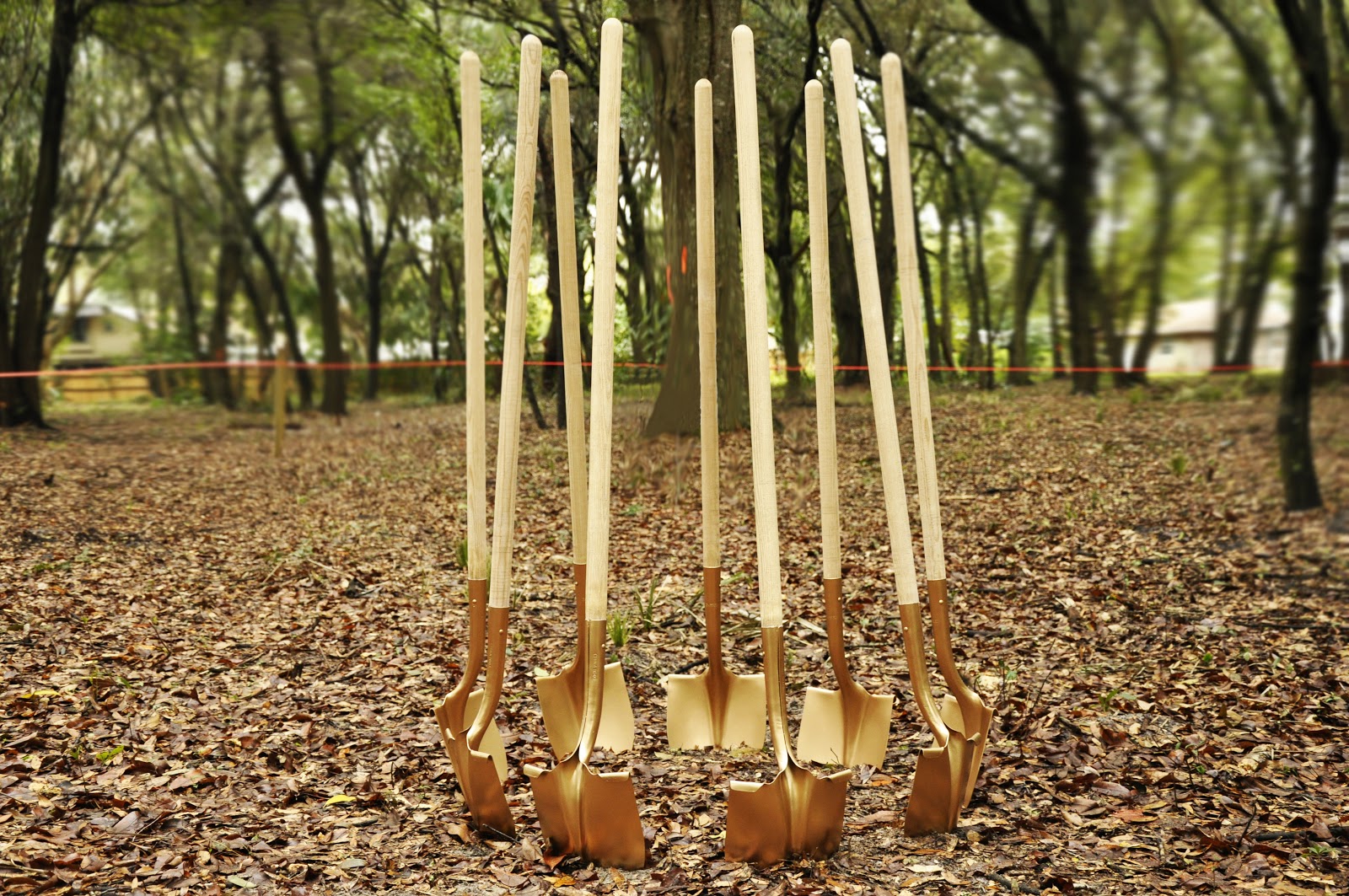 Several shovel placed in a circle on the ground 