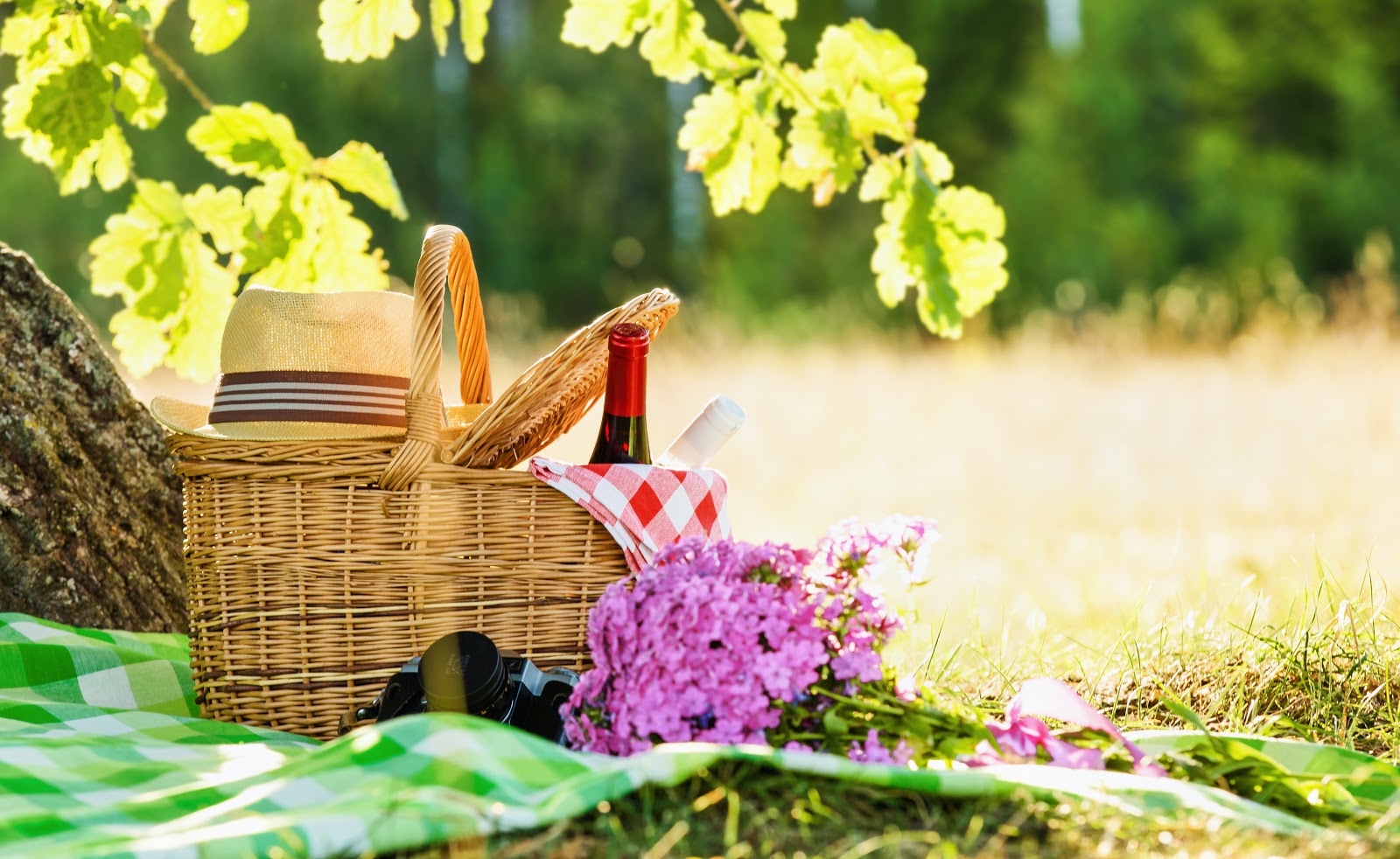 backyard picnic ideas: A fedora, a picnic basket with wine and a camera on top of a picnic blanket