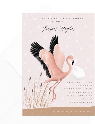 Magnificent Flamingo Invitation