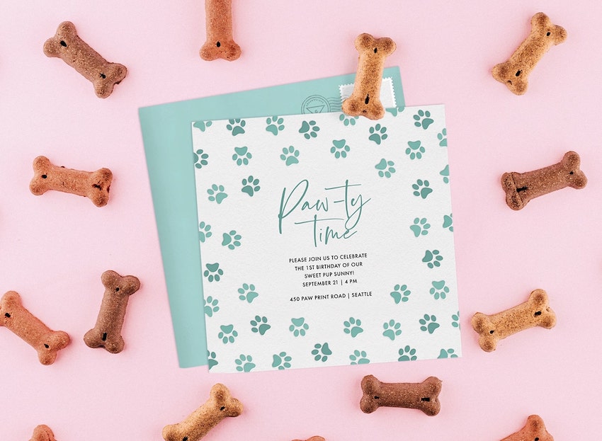 unleash-the-fun-dog-birthday-invitations-and-party-ideas-stationers