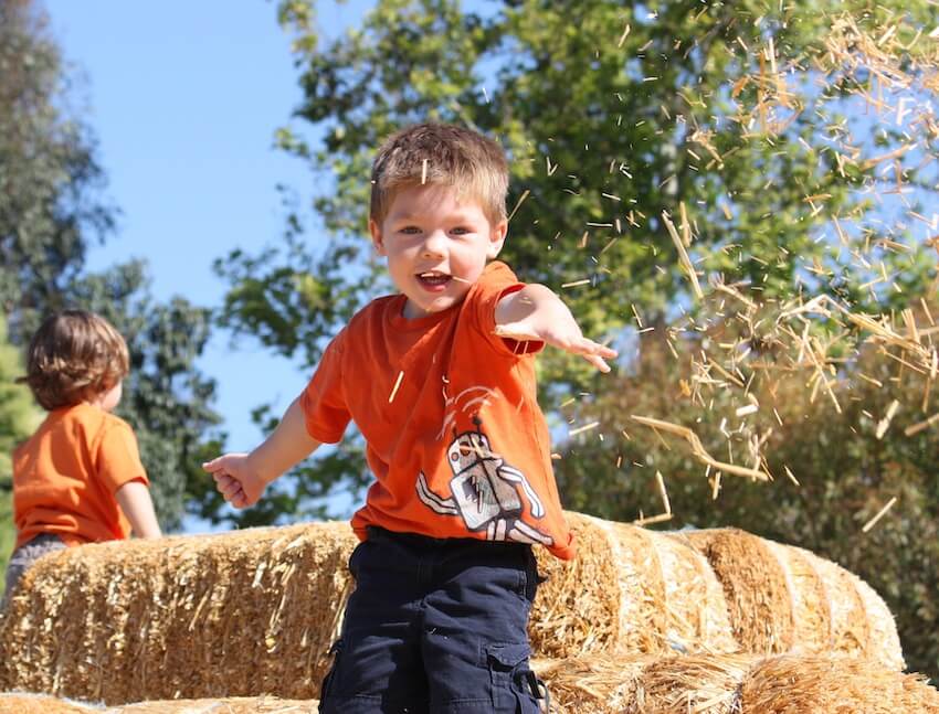 Farm themed birthday party: boy playing outside