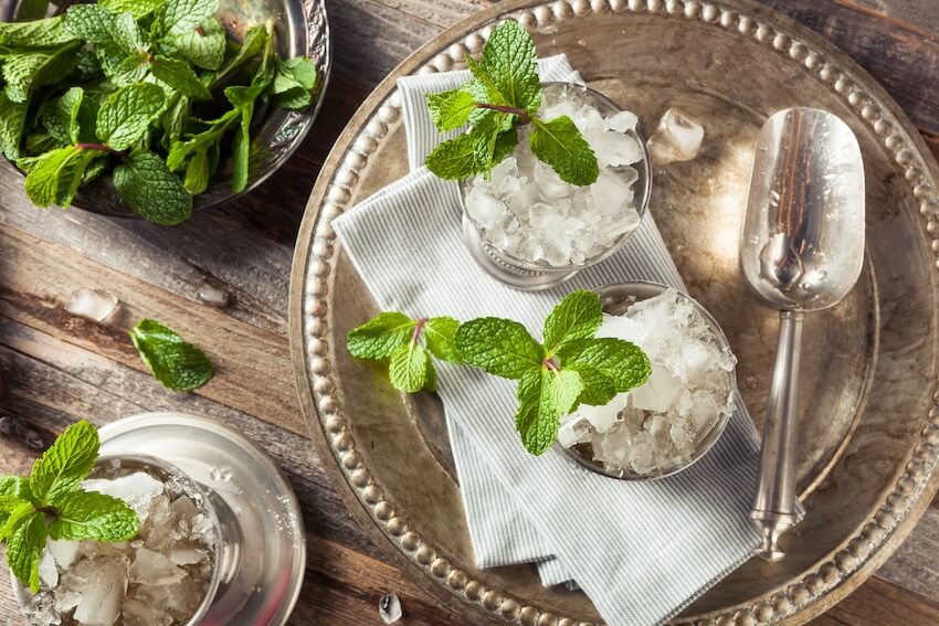 Derby party ideas: classic mint julep