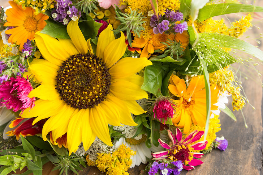 Happy birthday sunflowers: close up shot of various flowers