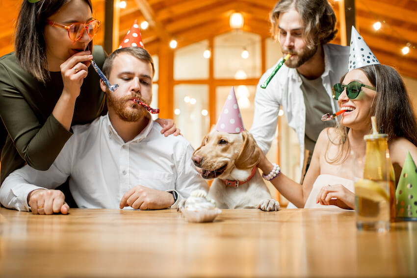 Dog birthday invitations: dog celebrating his birthday with his family