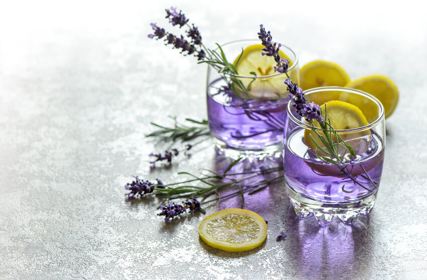 Fresh lavender lemonade drink