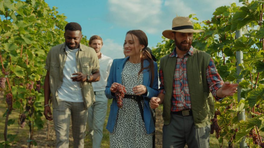 Friends walking through a vineyard