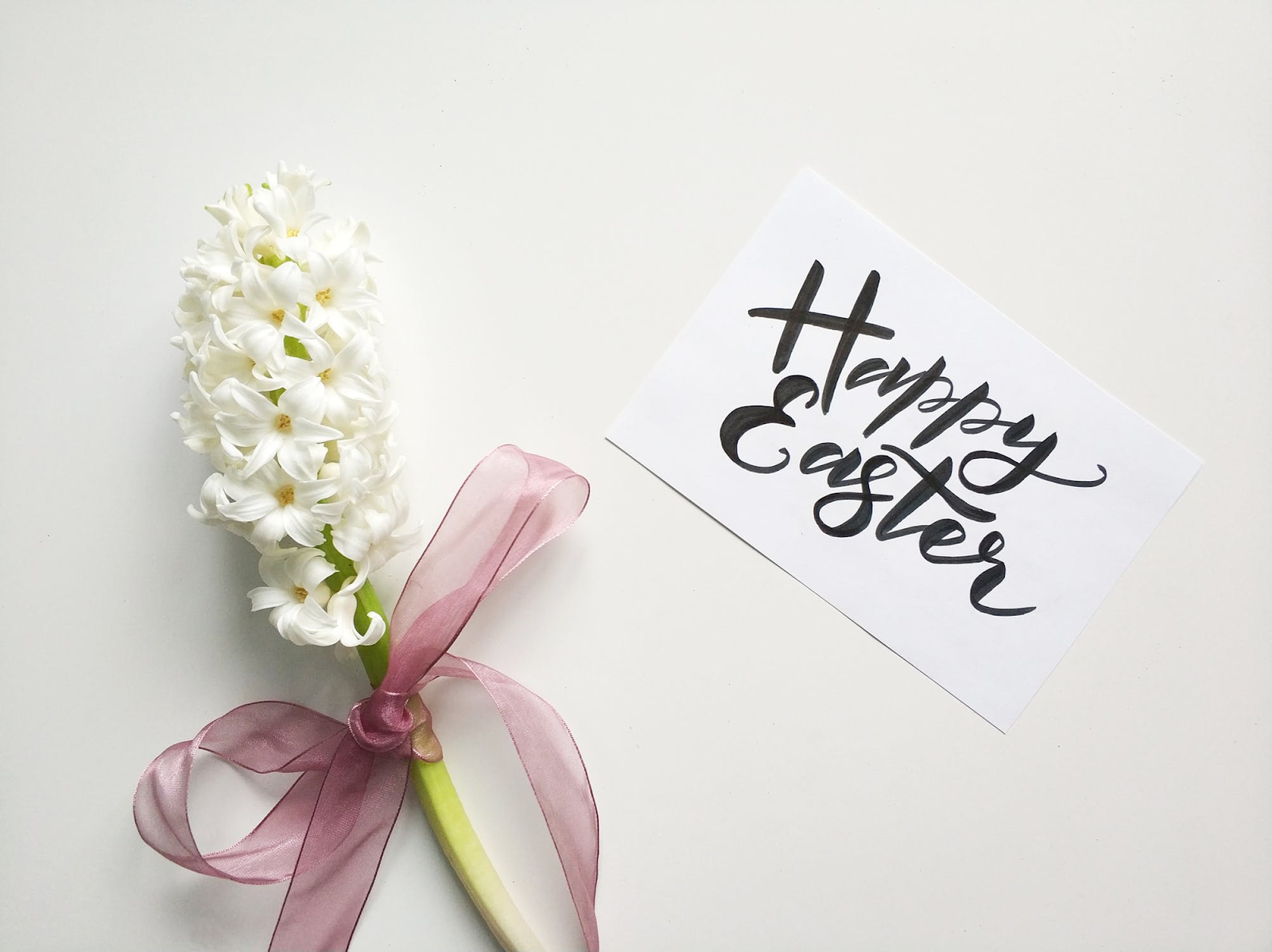 A spring flower with a ribbon and happy Easter card